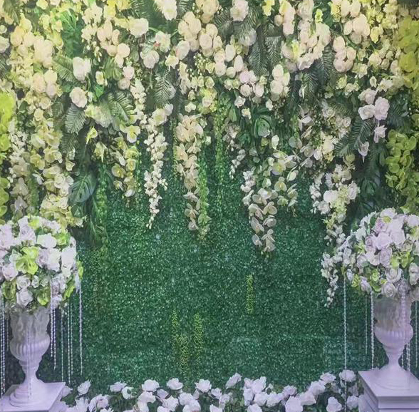 8f4456d1 60fe 43ec 8f39 4222c559b9d5Photobooth backdrop