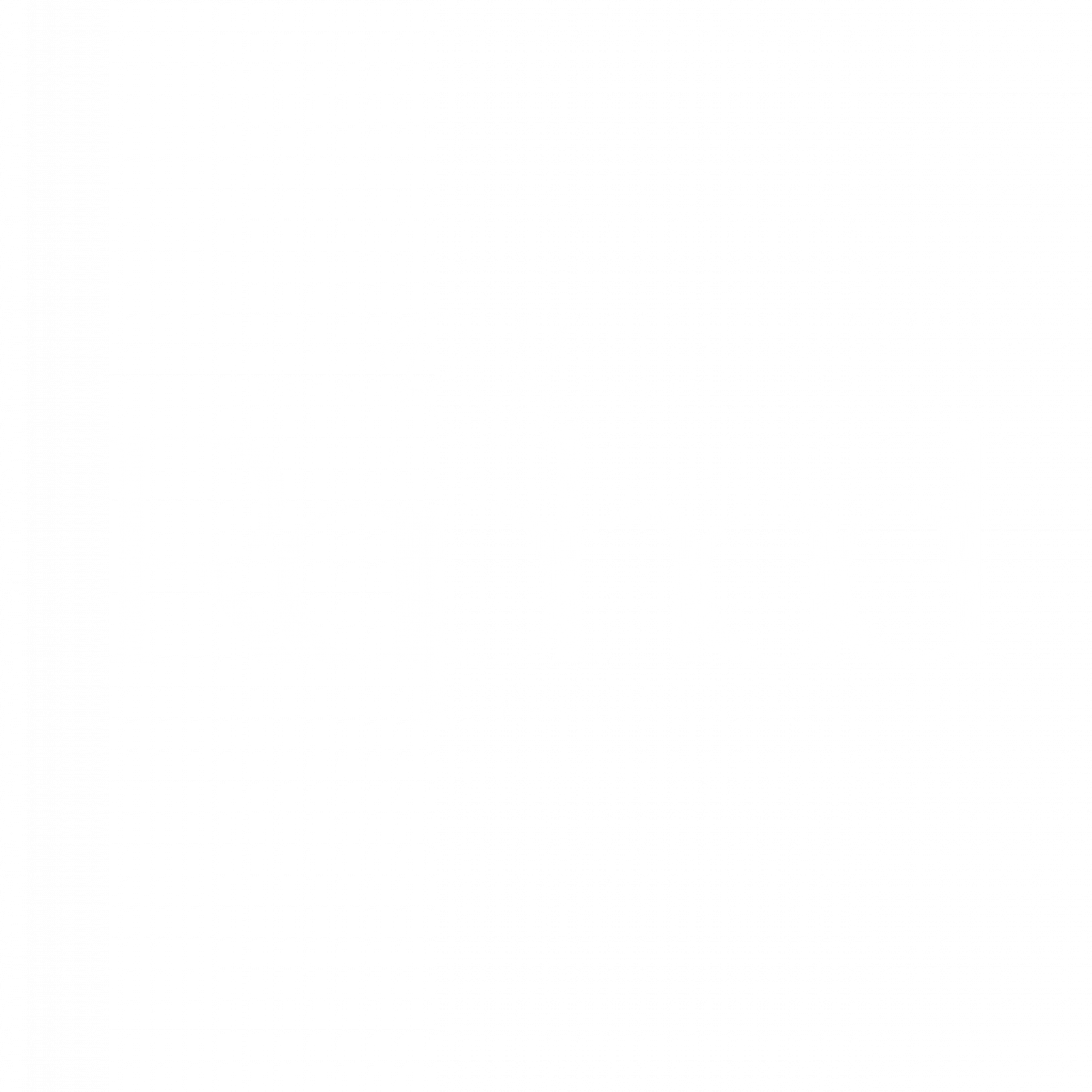 White Logo Bigish scaled